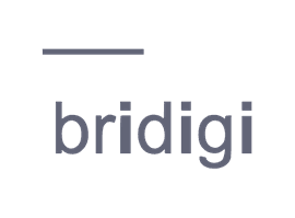 Bridigi logo